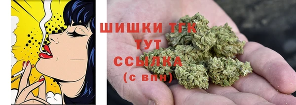 трава Няндома