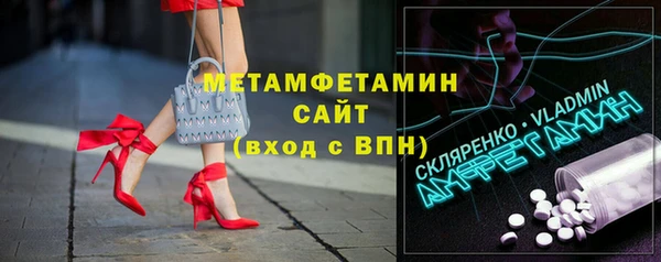 индика Новозыбков