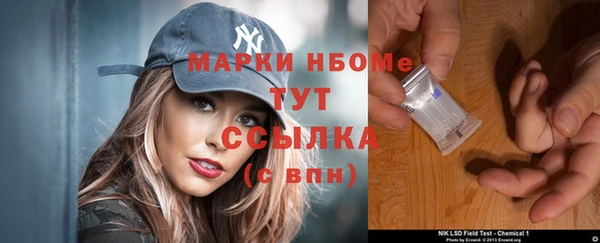 индика Новозыбков