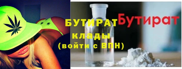 индика Новозыбков