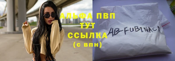 трава Няндома