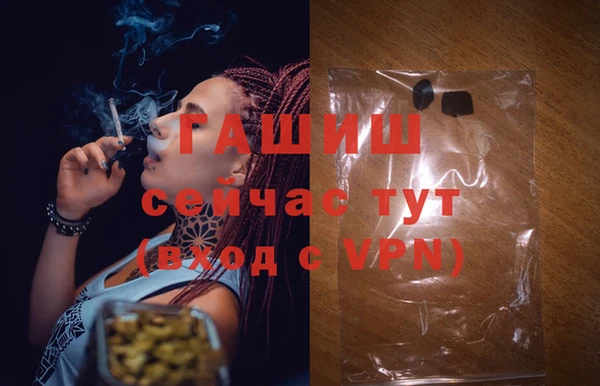индика Новозыбков