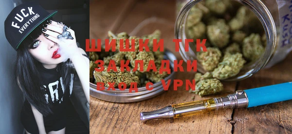 индика Новозыбков