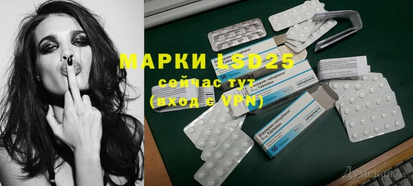 mdpv Новодвинск