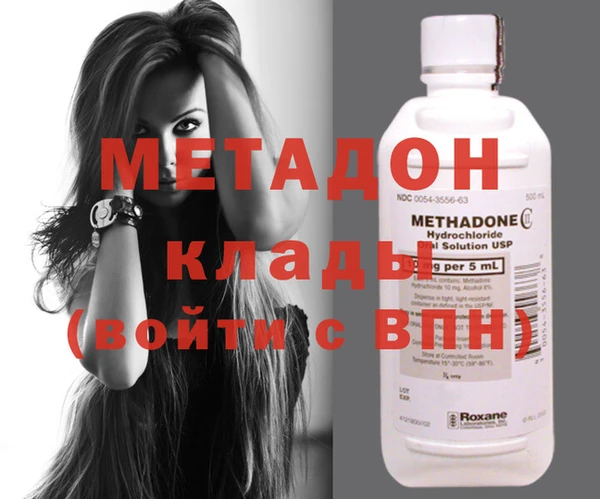 индика Новозыбков