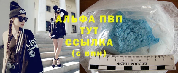 индика Новозыбков