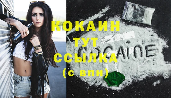 индика Новозыбков