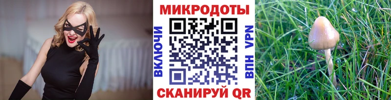 Купить  Дмитриев  Галлюциногенные грибы мицелий 